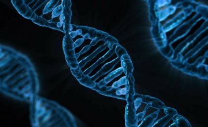 DNA DNA